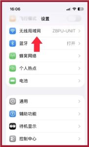 WEB：取消苹果锁屏断网